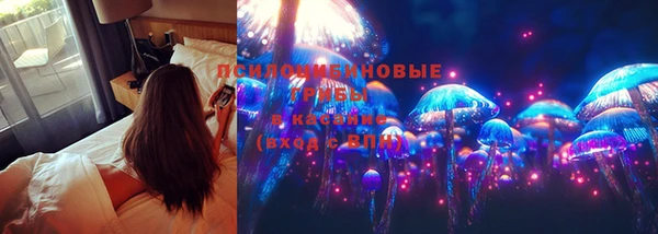 альфа пвп Куйбышев