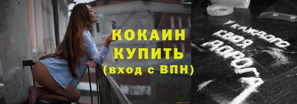 молекула духа Кулебаки