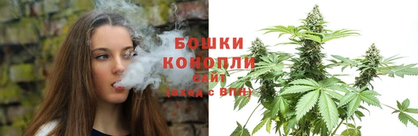 молекула духа Кулебаки