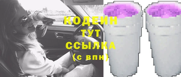 молекула духа Кулебаки