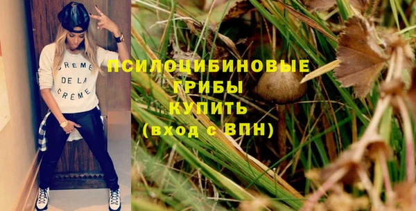 молекула духа Кулебаки