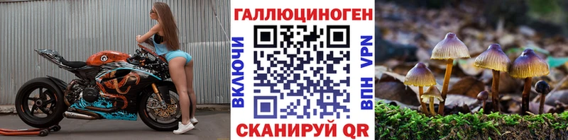Купить  Плавск  Псилоцибиновые грибы ЛСД 